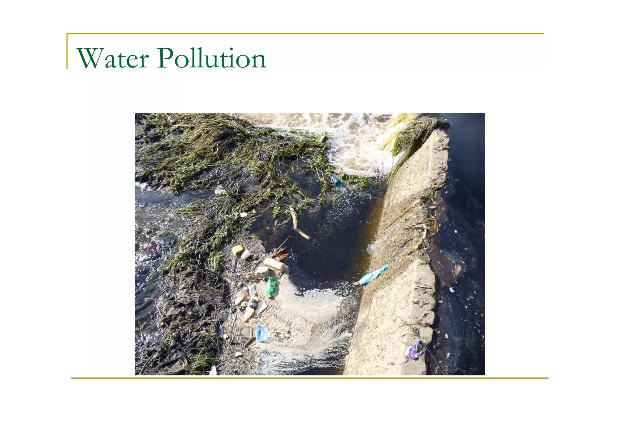 Water Pollution
 