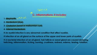 L-2 Eye lid disorder.pdf