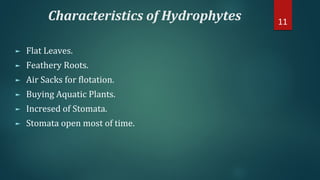 Characteristics of Hydrophytes
► Flat Leaves.
► Feathery Roots.
► Air Sacks for flotation.
► Buying Aquatic Plants.
► Incresed of Stomata.
► Stomata open most of time.
11
 
