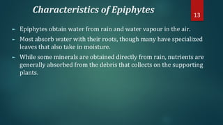 Characteristics of Epiphytes
► Epiphytes obtain water from rain and water vapour in the air.
► Most absorb water with their roots, though many have specialized
leaves that also take in moisture.
► While some minerals are obtained directly from rain, nutrients are
generally absorbed from the debris that collects on the supporting
plants.
13
 
