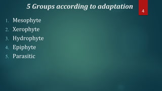 5 Groups according to adaptation
1. Mesophyte
2. Xerophyte
3. Hydrophyte
4. Epiphyte
5. Parasitic
4
 