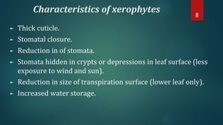 Characteristics of xerophytes
► Thick cuticle.
► Stomatal closure.
► Reduction in of stomata.
► Stomata hidden in crypts or depressions in leaf surface (less
exposure to wind and sun).
► Reduction in size of transpiration surface (lower leaf only).
► Increased water storage.
8
 