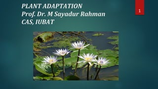 PLANT ADAPTATION
Prof. Dr. M Sayadur Rahman
CAS, IUBAT
1
 