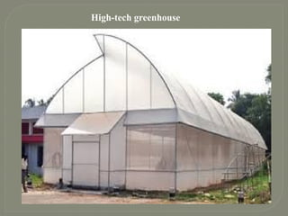 High-tech greenhouse
 