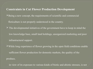 Constraints in Cut Flower Production Development
Being a new concept, the requirements of scientific and commercial
floriculture is not properly understood in the country.
 The developmental initiatives of the government have to keep in mind the
low knowledge base, small land holdings, unorganized marketing and poor
infrastructural support.
While long experience of flower growing in the open field conditions enable
sufficient flower production for domestic markets, the quality of the
produce,
in view of its exposure to various kinds of biotic and abiotic stresses, is not
 