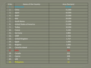S.No. Name of the Country Area (hectare)
1. Netharland 89,600
2. China 51,000
3. Japan 42,000
4. Spain 25,000
6. Italy 20,000
7. South Korea 21,000
8. United States of America 15,000
9. Turkey 10,000
10. France 5,540
11. Germany 3,800
12. USSR 2,166
13. United Kingdom 1,727
14. Egypt 1,000
15. Bulgaria 1,000
16. Canaries Island 900
17. India 700
18. Canada 302
19. Cyprus 208
20. UAE 55
21. Philippines 12
 