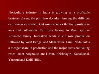 Floriculture industry in India is growing as a profitable
business during the past two decades. Among the different
cut flowers cultivated, Cut rose occupies the first position in
area and cultivation. Cut roses belong to Rosa spp. of
Rosaceae family. Karnataka leads in cut rose production
followed by West Bengal and Maharastra. Tamil Nadu holds
a meager share in production and the major areas cultivating
roses under polyhouse are Hosur, Krishnagiri, Kodaikanal,
Yercaud and Kolli Hills.
 