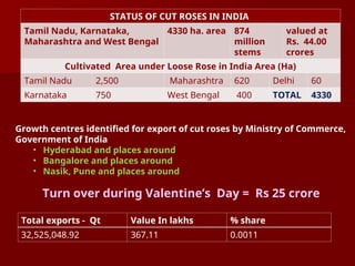STATUS OF CUT ROSES IN INDIA
Tamil Nadu, Karnataka,
Maharashtra and West Bengal
4330 ha. area 874
million
stems
valued at
Rs. 44.00
crores
Cultivated Area under Loose Rose in India Area (Ha)
Tamil Nadu 2,500 Maharashtra 620 Delhi 60
Karnataka 750 West Bengal 400 TOTAL 4330
Growth centres identified for export of cut roses by Ministry of Commerce,
Government of India
• Hyderabad and places around
• Bangalore and places around
• Nasik, Pune and places around
Turn over during Valentine’s Day = Rs 25 crore
Total exports - Qt Value In lakhs % share
32,525,048.92 367.11 0.0011
 