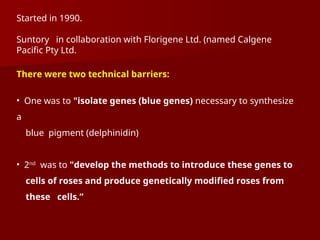 Started in 1990.
Suntory in collaboration with Florigene Ltd. (named Calgene
Pacific Pty Ltd.
There were two technical barriers:
• One was to "isolate genes (blue genes) necessary to synthesize
a
blue pigment (delphinidin)
• 2nd
was to "develop the methods to introduce these genes to
cells of roses and produce genetically modified roses from
these cells.”
 