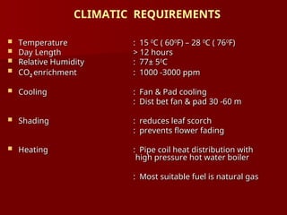 CLIMATIC REQUIREMENTS
 Temperature
Temperature : 15
: 15 0
0
C ( 60
C ( 600
0
F) – 28
F) – 28 0
0
C ( 76
C ( 760
0
F)
F)
 Day Length
Day Length > 12 hours
> 12 hours
 Relative Humidity
Relative Humidity : 77
: 77± 5
± 50
0
C
C
 CO
CO2
2 enrichment
enrichment : 1000 -3000 ppm
: 1000 -3000 ppm
 Cooling
Cooling : Fan & Pad cooling
: Fan & Pad cooling
: Dist bet fan & pad 30 -60 m
: Dist bet fan & pad 30 -60 m
 Shading
Shading : reduces leaf scorch
: reduces leaf scorch
: prevents flower fading
: prevents flower fading
 Heating
Heating : Pipe coil heat distribution with
: Pipe coil heat distribution with
high pressure hot water boiler
high pressure hot water boiler
: Most suitable fuel is natural gas
: Most suitable fuel is natural gas
 