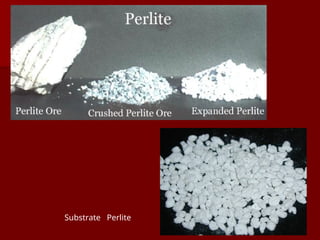 Substrate Perlite
 
