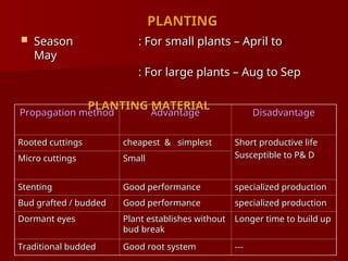 PLANTING
PLANTING
 Season
Season : For small plants – April to
: For small plants – April to
May
May
: For large plants – Aug to Sep
: For large plants – Aug to Sep
PLANTING MATERIAL
PLANTING MATERIAL
Propagation method
Propagation method Advantage
Advantage Disadvantage
Disadvantage
Rooted cuttings
Rooted cuttings cheapest & simplest
cheapest & simplest Short productive life
Short productive life
Susceptible to P& D
Susceptible to P& D
Micro cuttings
Micro cuttings Small
Small
Stenting
Stenting Good performance
Good performance specialized production
specialized production
Bud grafted / budded
Bud grafted / budded Good performance
Good performance specialized production
specialized production
Dormant eyes
Dormant eyes Plant establishes without
Plant establishes without
bud break
bud break
Longer time to build up
Longer time to build up
Traditional budded
Traditional budded Good root system
Good root system ---
---
 