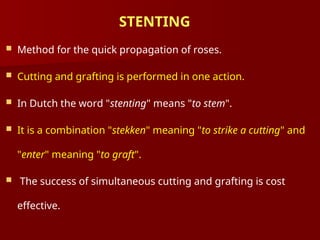  Method for the quick propagation of roses.
 Cutting and grafting is performed in one action.
 In Dutch the word "stenting" means "to stem".
 It is a combination "stekken" meaning "to strike a cutting" and
"enter" meaning "to graft".
 The success of simultaneous cutting and grafting is cost
effective.
STENTING
 