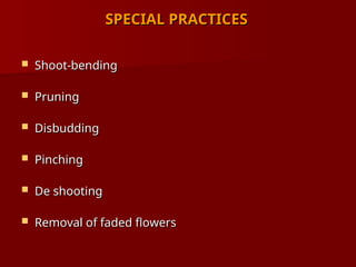 SPECIAL PRACTICES
SPECIAL PRACTICES
 Shoot-bending
Shoot-bending
 Pruning
Pruning
 Disbudding
Disbudding
 Pinching
Pinching
 De shooting
De shooting
 Removal of faded flowers
Removal of faded flowers
 