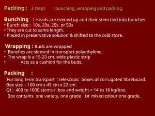 Packing : 3 steps : bunching, wrapping and packing.
Bunching : Heads are evened up and their stem tied into bunches
• Bunch size : 10s, 20s, 25s, or 50s
• They are cut to same length.
• Placed in preservative solution & shifted to the cold store.
Wrapping : Buds are wrapped
• Bunches are sleeved in transport polyethylene.
• The wrap is a 15-20 cm. wide plastic strip
• Acts as a cushion for the buds.
Packing :
For long term transport : telescopic boxes of corrugated fibreboard.
Box size - 100 cm x 45 cm x 22 cm.
Qt : 400 to 1000 stems / box and weight = 14 to 18 kg/box.
Box contains one variety, one grade or mixed colour one grade.
 