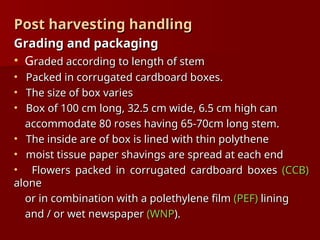 Post harvesting handling
Post harvesting handling
Grading and packaging
Grading and packaging
• Graded according to length of stem
raded according to length of stem
• Packed in corrugated cardboard boxes.
Packed in corrugated cardboard boxes.
• The size of box varies
The size of box varies
• Box of 100 cm long, 32.5 cm wide, 6.5 cm high can
Box of 100 cm long, 32.5 cm wide, 6.5 cm high can
accommodate 80 roses having 65-70cm long stem.
accommodate 80 roses having 65-70cm long stem.
• The inside are of box is lined with thin polythene
The inside are of box is lined with thin polythene
• moist tissue paper shavings are spread at each end
moist tissue paper shavings are spread at each end
• Flowers packed in corrugated cardboard boxes
Flowers packed in corrugated cardboard boxes (CCB)
(CCB)
alone
alone
or in combination with a polethylene film
or in combination with a polethylene film (PEF)
(PEF) lining
lining
and / or wet newspaper
and / or wet newspaper (WNP
(WNP).
).
 