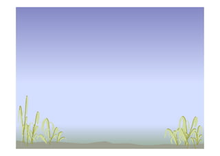 L 4 wastewater flow rates