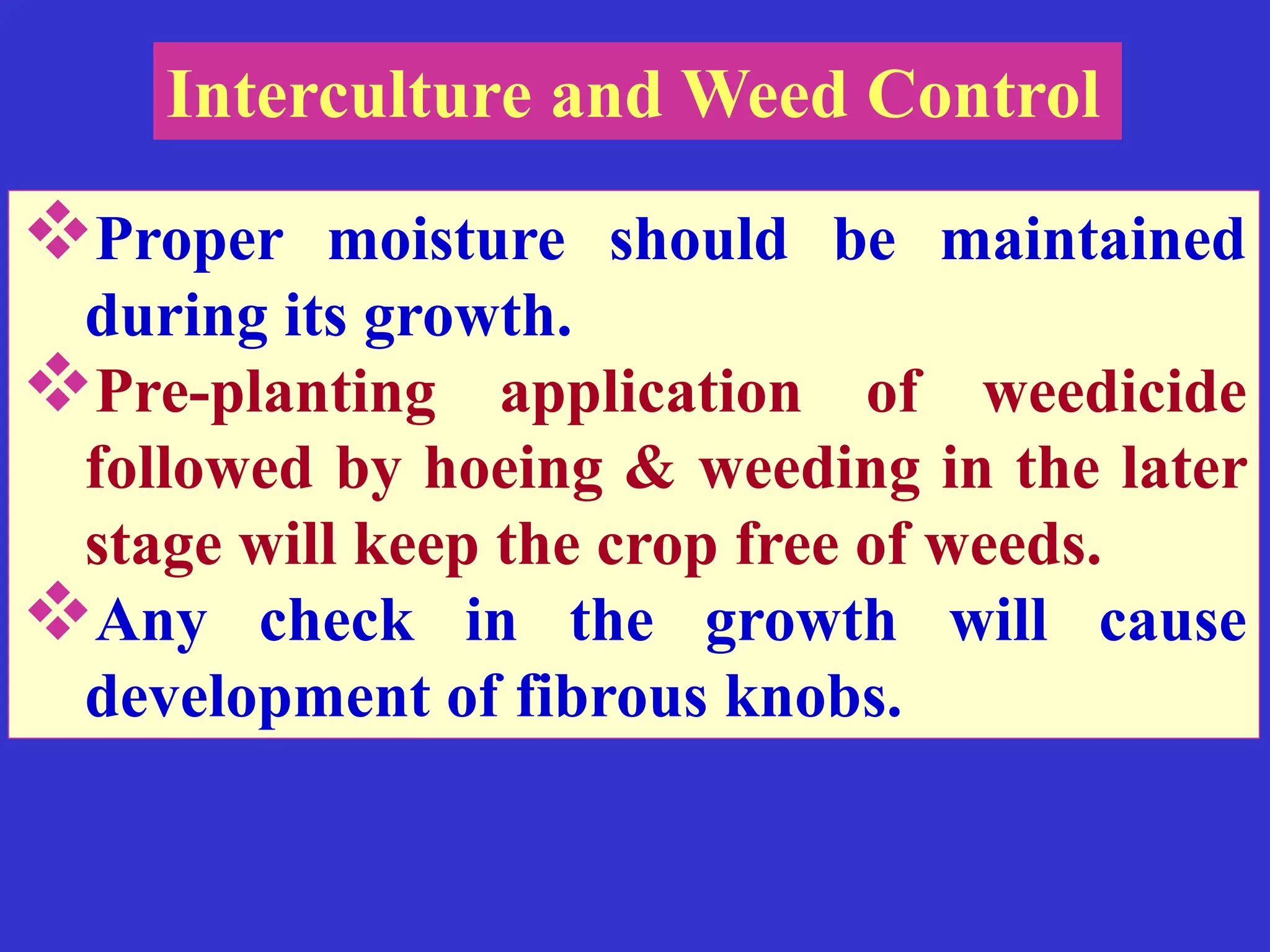 Knolkol Production technology of knolkol in temperate vegetable | PPSX