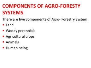 Forestry Systems Lecture No. 6- Agroforestry Systems W-23.pdf