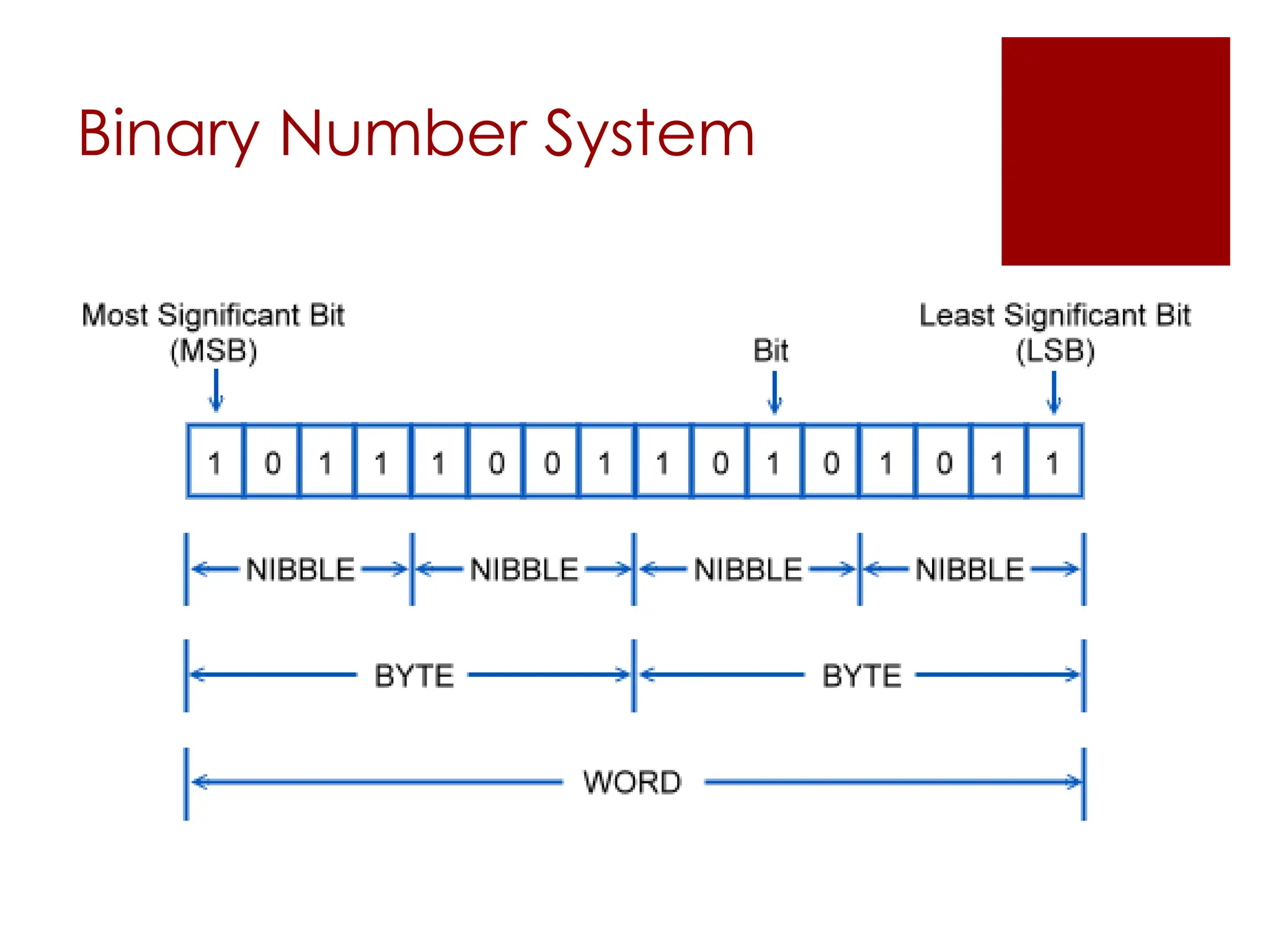 Binary Number System
 