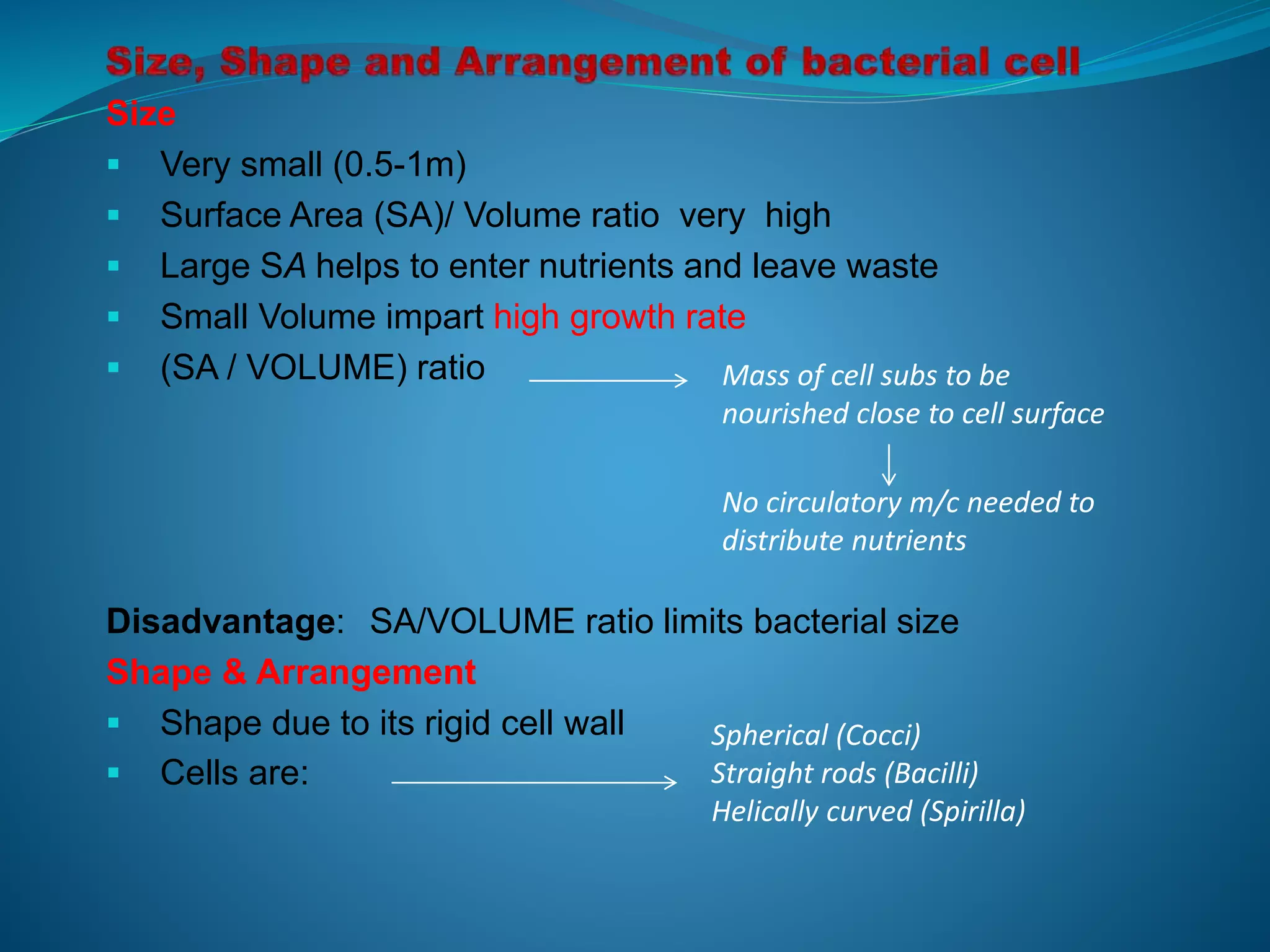 Size, shape and arrangement of bacterial cell | PPTX