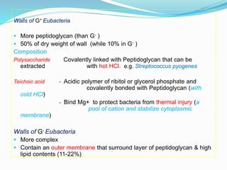 Walls of G+ Eubacteria
 More peptidoglycan (than G- )
 50% of dry weight of wall (while 10% in G- )
Composition
Polysacc...