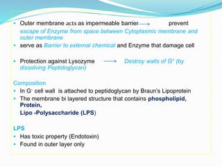 Outer membrane acts as impermeable barrier prevent
escape of Enzyme from space between Cytoplasmic membrane and
outer me...