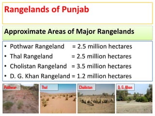 Provincial Rangelands L-7 A Rangelands of Pakistan (Punjab).pdf