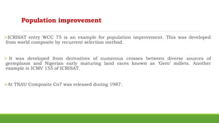 Population improvement
ICRISAT entry WCC 75 is an example for population improvement. This was developed
from world composite by recurrent selection method.
 It was developed from derivatives of numerous crosses between diverse sources of
germplasm and Nigerian early maturing land races known as ‘Gero’ millets. Another
example is ICMV 155 of ICRISAT.
At TNAU Composite Co7 was released during 1987.
 