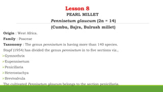 Lesson 8
PEARL MILLET
Pennisetum glaucum (2n = 14)
(Cumbu, Bajra, Bulrush millet)
Origin : West Africa.
Family : Poaceae
Taxonomy : The genus pennisetum is having more than 140 species.
Stapf (1954) has divided the genus pennisetum in to five sections viz.,
Gymnothrix
Eupennisetum
Penicillaria
Heterostachya
Brevivalvula
The cultivated Pennisetum glaucum belongs to the section penicillaria.
 