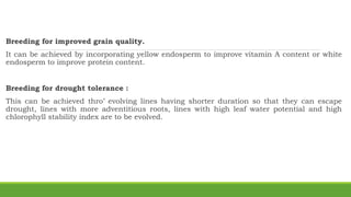 Breeding for improved grain quality.
It can be achieved by incorporating yellow endosperm to improve vitamin A content or white
endosperm to improve protein content.
Breeding for drought tolerance :
This can be achieved thro’ evolving lines having shorter duration so that they can escape
drought, lines with more adventitious roots, lines with high leaf water potential and high
chlorophyll stability index are to be evolved.
 