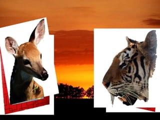 L A  F E M M E  E T  L A  N A T U R E