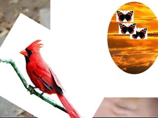 L A  F E M M E  E T  L A  N A T U R E