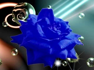 L A  F E M M E  E T  L A  N A T U R E