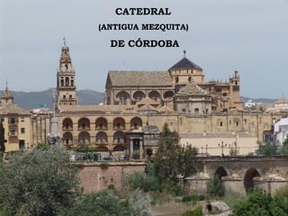 CATEDRAL  (ANTIGUA MEZQUITA)  DE CÓRDOBA 