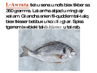 L-Awrata   tie ħ u sena u nofs biex tikber sa 350 gramma. La ħ amha abjad u ming ħ ajr xa ħ am. G ħ andha snien fil-quddiem tal- ħ alq biex tkisser bebbux u ko ċċ li  ż g ħ ar. Spiss tgerrem ix-xbieki tal- fishfarms  u ta ħ rab. 