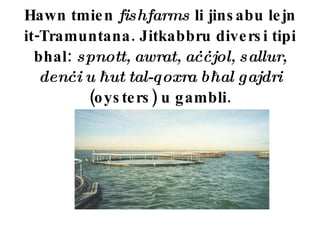 Hawn tmien   fishfarms  li jinsabu lejn it-Tramuntana. Jitkabbru diversi tipi bhal:  spnott, awrat, a ċċ jol, sallur, den ċ i u  ħ ut tal-qoxra b ħ al gajdri (oysters) u gambli. 