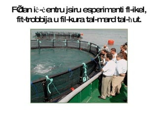 F’dan i ċ - ċ entru jsiru esperimenti fl-ikel, fit-trobbija u fil-kura tal-mard tal- ħ ut. 