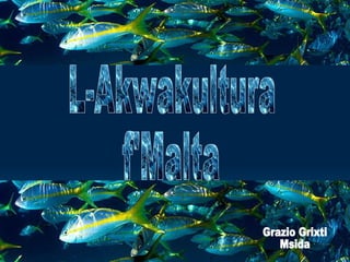 L-Akwakultura f'Malta Grazio Grixti Msida 