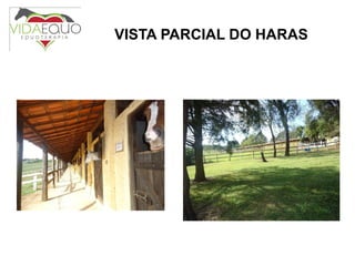 VISTA PARCIAL DO HARAS 