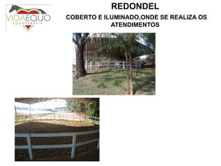 REDONDEL   COBERTO E ILUMINADO,ONDE SE REALIZA OS ATENDIMENTOS 