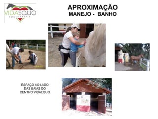 APROXIMAÇÃO MANEJO -  BANHO ESPAÇO AO LADO DAS BAIAS DO CENTRO VIDAEQUO 