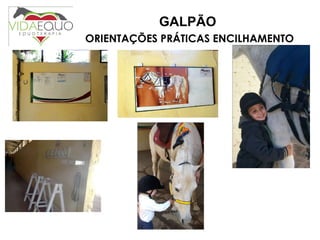 GALPÃO   ORIENTAÇÕES PRÁTICAS ENCILHAMENTO 