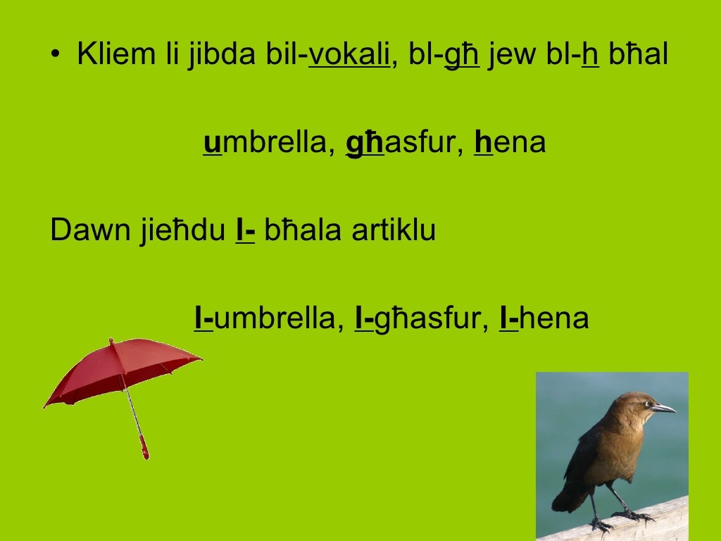 l artiklu