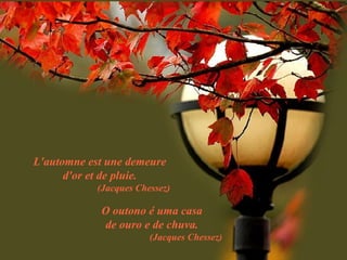 L'automne est une demeure d'or et de pluie. (Jacques Chessez) O outono é uma casa de ouro e de chuva. (Jacques Chessez) 