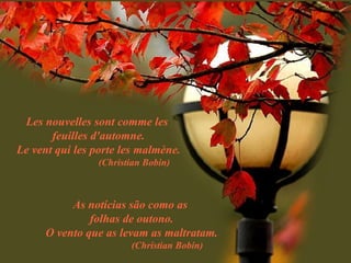 Les nouvelles sont comme les  feuilles d'automne. Le vent qui les porte les malmène. (Christian Bobin) As notícias são como as  folhas de outono. O vento que as levam as maltratam. (Christian Bobin) 