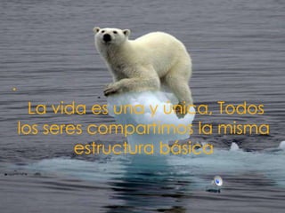  . La vida es una y única, Todos los seres compartimos la misma estructura básica