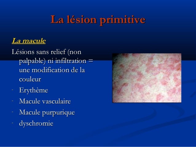 lésions elementaires en dermatologie