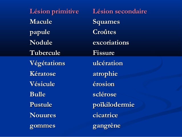 Les lesions elementaires en dermatologie pdf
