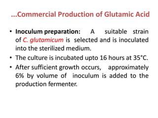 ...Commercial Production of Glutamic Acid
• Inoculum preparation: A suitable strain
of C. glutamicum is selected and is inoculated
into the sterilized medium.
• The culture is incubated upto 16 hours at 35°C.
• After sufficient growth occurs, approximately
6% by volume of inoculum is added to the
production fermenter.
 